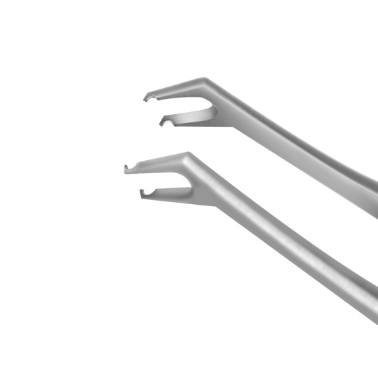 Tip details 